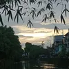basarennalyn2