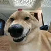 haovuwm