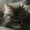 scarlett._.sleepy2