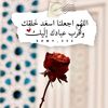user17423026152942