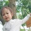 hanhvien6