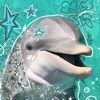 dolphin_rella