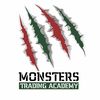 monsterstrading.academy