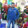 255rayan
