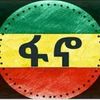 yared_e