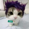 aishacaroline02