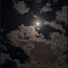 tala_khalil3