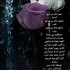 user12254828685720