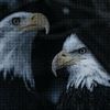 rey_zpl