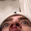dardasy
