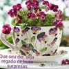 flores.sol8