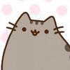 ketcha.later