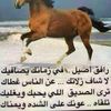 alyamglmdow