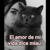 blanca5__