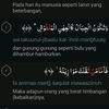 d3bubintangfajar1