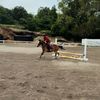 eq_laraaa