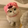 dokimoanh.95