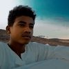 omer43479