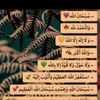 jeddah9237