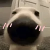 1ngdeppyeuem