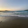 avawallacexxx