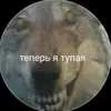 user4073402261144
