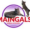 Maingals