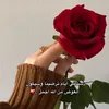 user5854195381077