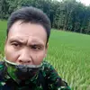 wong.alas808