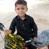 mahin.bibi