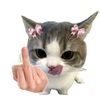 acc0cutie4u