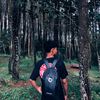dfptraldynsh