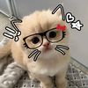 luvteerak77