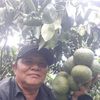 hunh.tun6