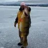 hgoesfishing
