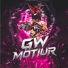 gwmotiur100