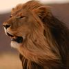 leo.arreaga5