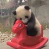 l0vly_xpandi