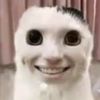 blubbyfish69