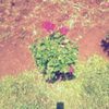 user3752127072659