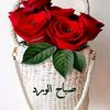user42021183445818