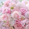 lily.rose54