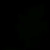 mll_il6