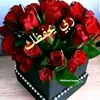 abdellabdo4