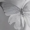 m__v9i