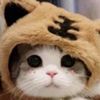 user619850245