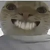 hoangruby47