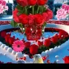 yeniiney36