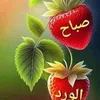 dahmochi.ahmad