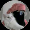 loayalahmad8